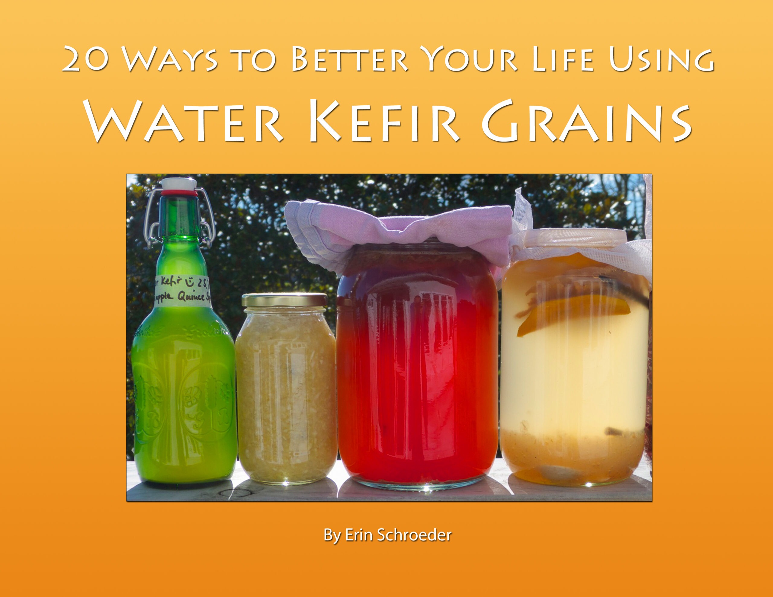 Kefir Cover (revised)