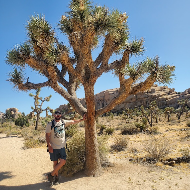 Joshua Tree NP